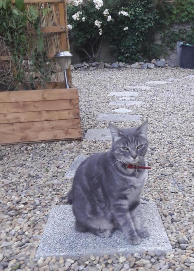 Le Jardin De Mimi Appartement Lézignan-Corbières Buitenkant foto